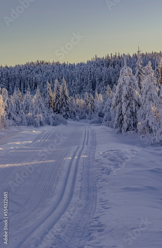 Ski center in Ludvika municipality in southern Dalarna Sweden for cross-country skiing and dog sledding