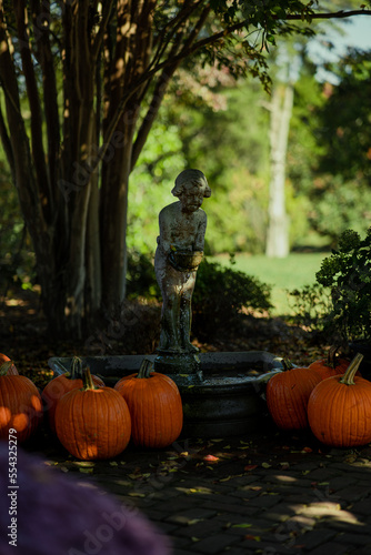 jack o lantern