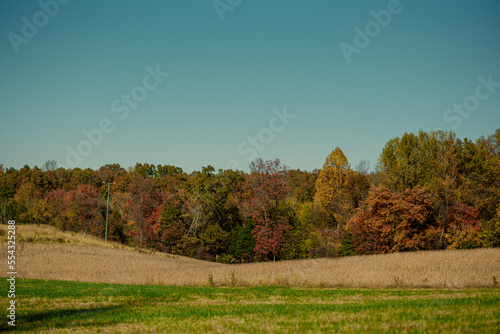 landscape in autumn