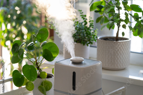 Modern cool-mist humidifier for indoor plants. Steam vaporizer working inside house, moisturizing dry air at home, standing near green houseplants. Humidity in apartment and plantcare concept photo