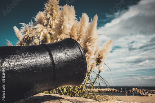 Historische Kanone am Meer photo