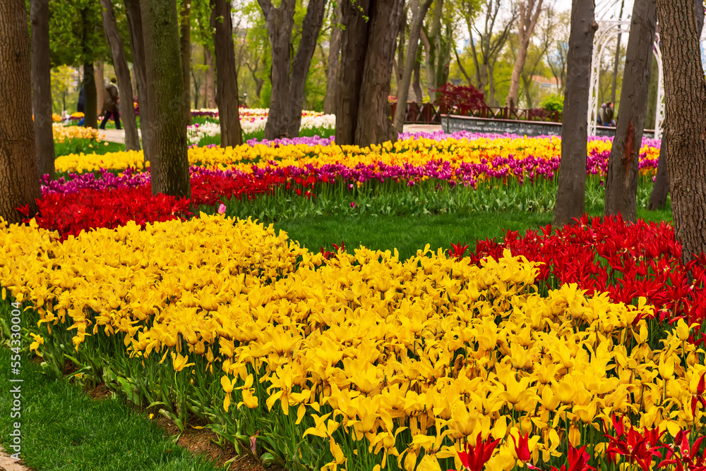 Emirgan Park, Istanbul