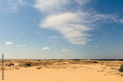 Fototapeta Naklejka Na Ścianę i Meble -  View of the Oleshkiv sands - the Ukrainian desert near the city of Kherson. Ukraine