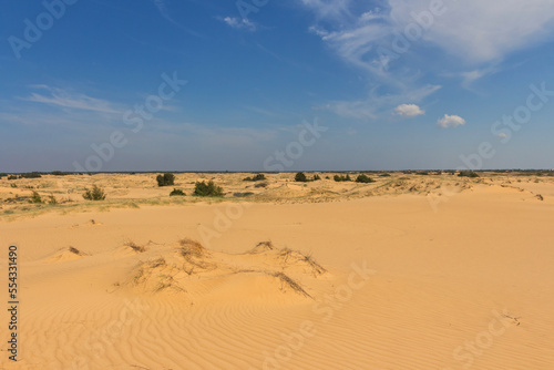 View of the Oleshkiv sands - the Ukrainian desert near the city of Kherson. Ukraine