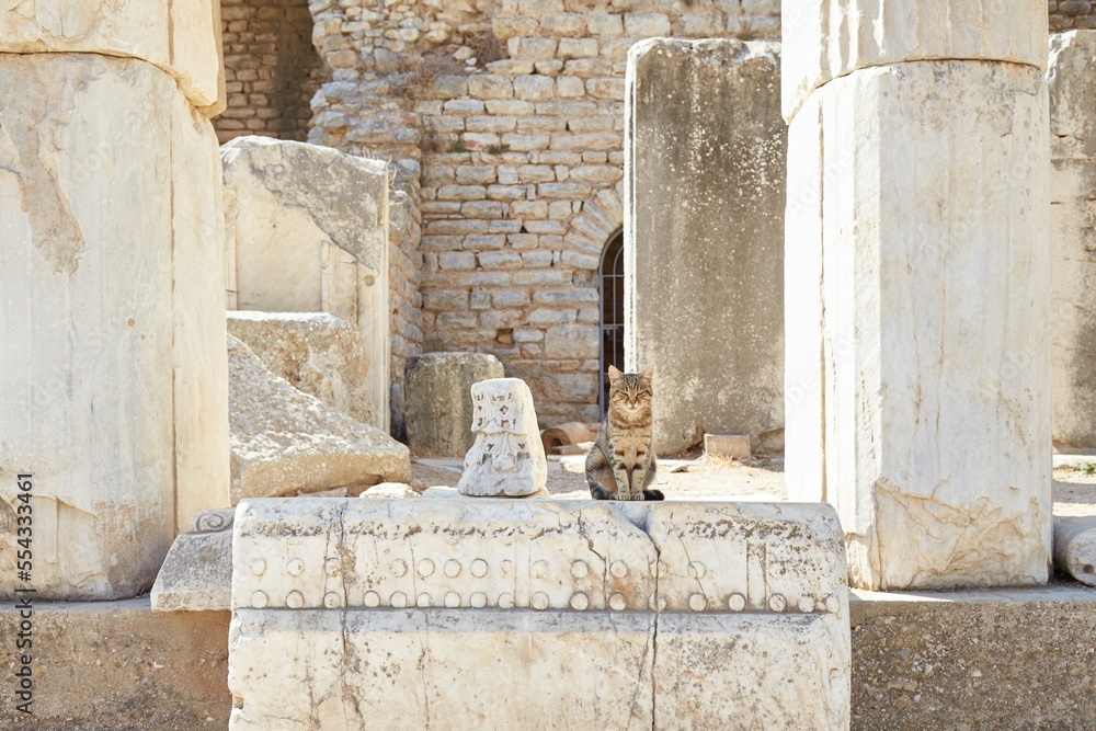 The Temple of Domitian at Ephesus