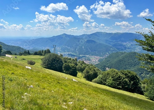 Fototapeta Naklejka Na Ścianę i Meble -  alpine meadow in the mountains
