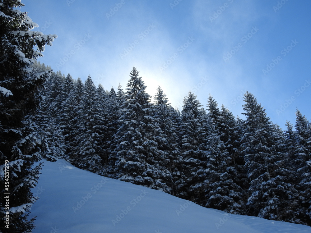 Verschneite Winterlandschaft in Gargellen, Österreich