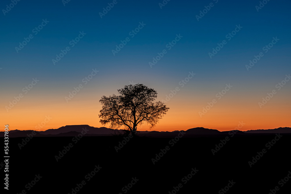 Sunrise in Aluvlei, Namib-Naukluft National Park; Namibia
