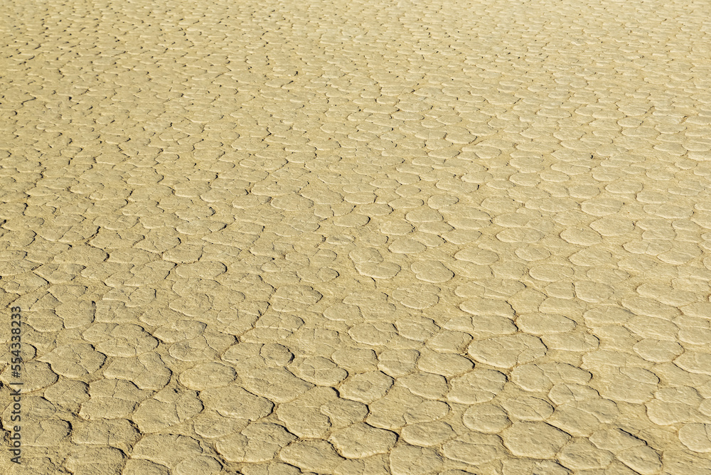 Deadvlei, a white clay pan surrounded by the highest sand dunes in the world, Namib Desert; Namibia Deadvlei, a white clay pan surrounded by the highest sand dunes in the world, Namib Desert; Namibia