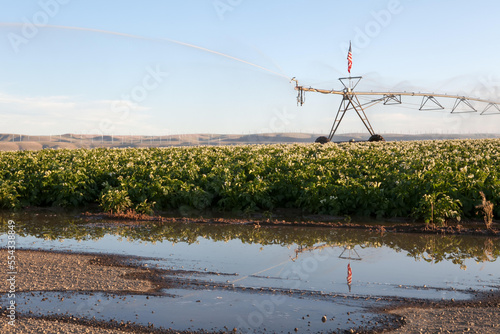 Irrigation sprinkler equipment, dressed with the United States of America flag, provides water to farm crops.; Walla Walla, Washington photo