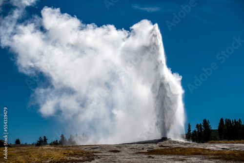Wallpaper Mural Old Faithful erupting from the earth's crust sending jets of water and steam into the air against a bright blue sky, Yellowstone National Park; Wyoming, United States of America Torontodigital.ca