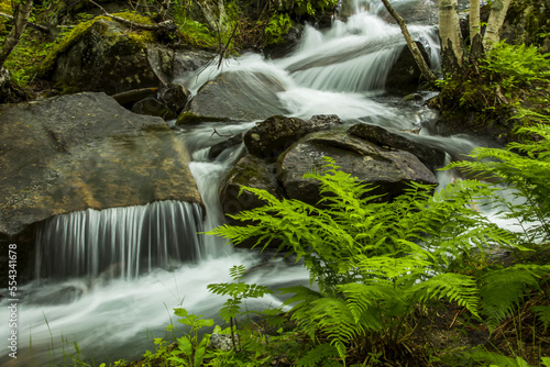A waterfall cascades over rocks and through ferns. photo