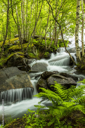 A waterfall cascades through a lush green forest. photo