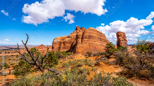 Dead Tree among the many Red Sandstone Rock Formations in Arches National Park in Utah, USA