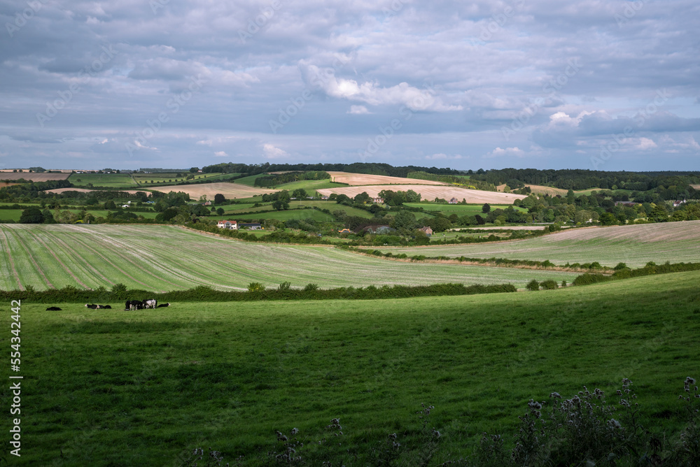 Farm fields in the countryside around Rockbourne, near Salisbury, Wiltshire, UK; Rockbourne, Wiltshire, England Farm fields in the countryside around Rockbourne, near Salisbury, Wiltshire, UK; Rockbourne, Wiltshire, England