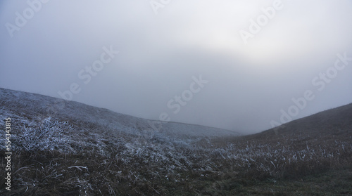 Hills in winter in mountains with low grass covered with first snow in December at the beginning of winter  cool day with fog and poor visibility
