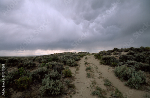 Dirt road leads through sagebrush country at dusk; Pinedale, Wyoming, United States of America photo