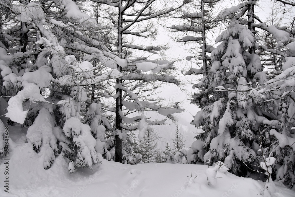zima, Tatry, szlaki, góry, śnieg, zagrożenie lawinowe,  - obrazy, fototapety, plakaty 