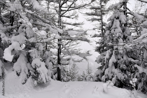 zima, Tatry, szlaki, góry, śnieg, zagrożenie lawinowe, 