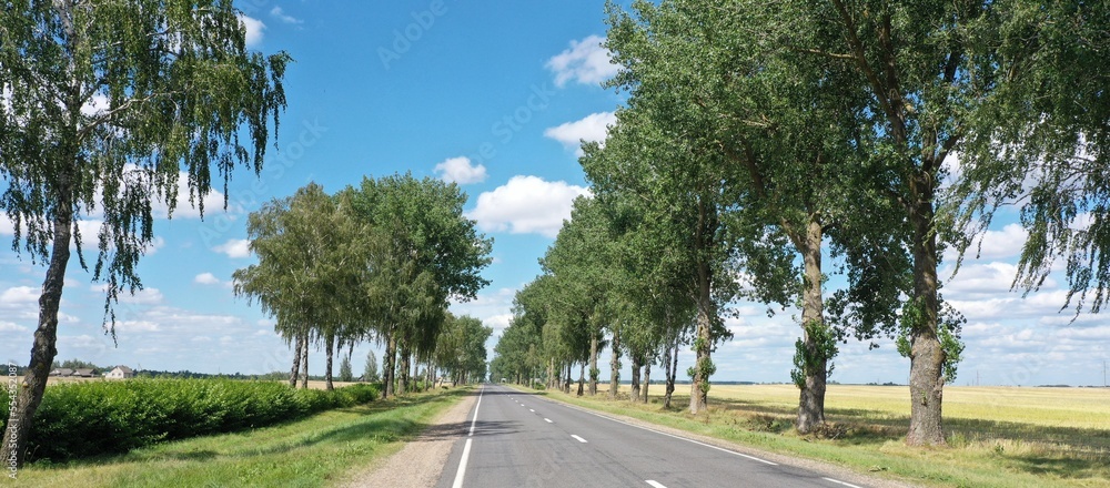Summer road. The beginning of the journey. The car is on the side of the road. Sanitary stop. Roadside stop. Road through the oak grove. Summer road. The beginning of the journey. The car is on the side of the road. Sanitary stop. Roadside stop. Road through the oak grove.