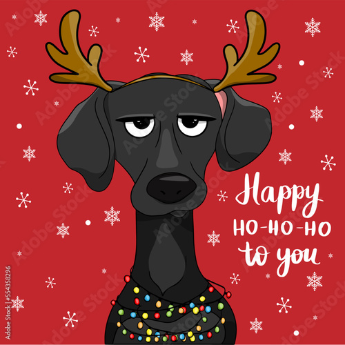 Vector christmas card with grumpy dog with garland character party time congratulatory funny postcards with slogans lettering. Cartoon flat style ideal for cards posters, social media.