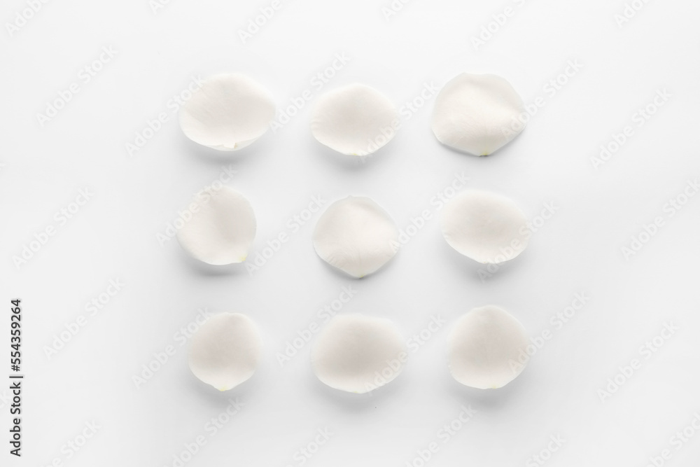Beautiful rose flower petals on white background, top view Beautiful rose flower petals on white background, top view
