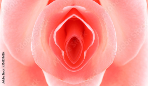 Schilderij op canvas Erotic metaphor design