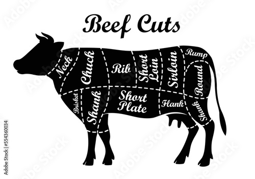 Beef parts of the cow isolated on wite background. beef meat cuts.