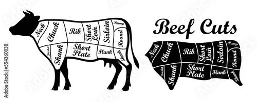 Beef parts of the cow isolated on wite background. beef meat cuts.