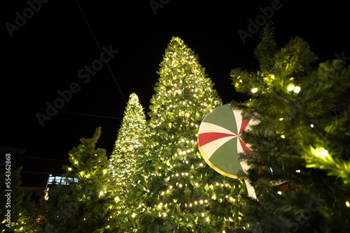 Christmas Tree and decoration 
