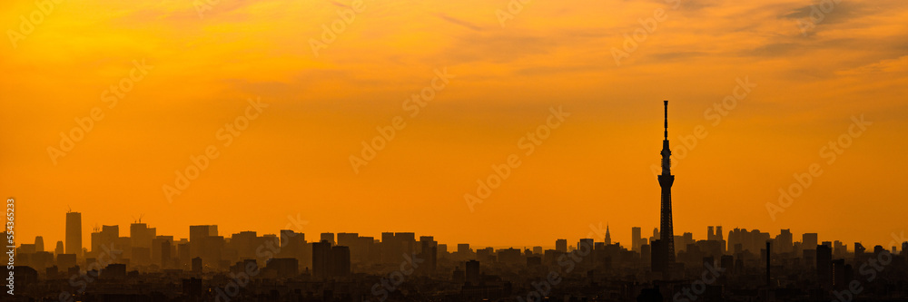 Silhouette of Tokyo skyscrapers and Tokyo skytree on sunset orange sky.