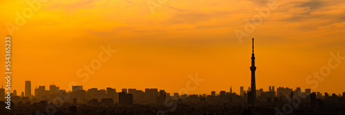 Silhouette of Tokyo skyscrapers and Tokyo skytree on sunset orange sky.