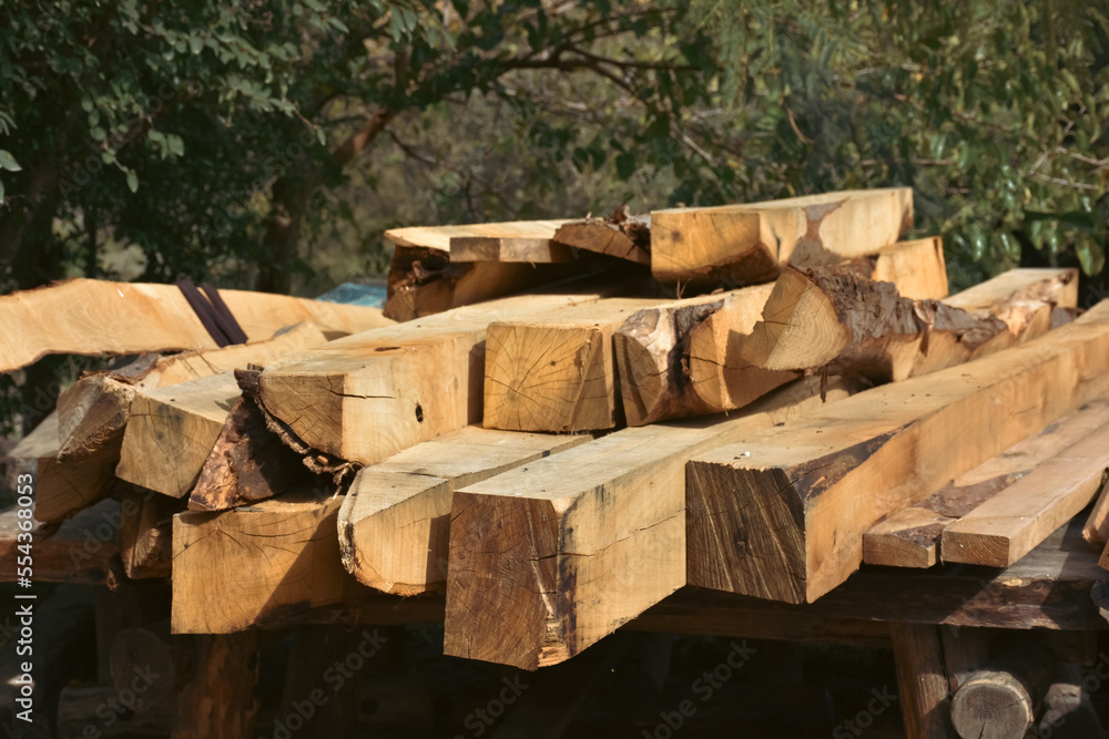 Tree stumps cut in heaps with greenery in the background .stack of logs for lumber industry background.