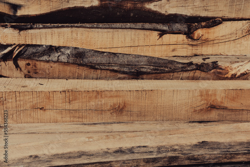 Tree stumps gathered together for vintage background or wallpaper