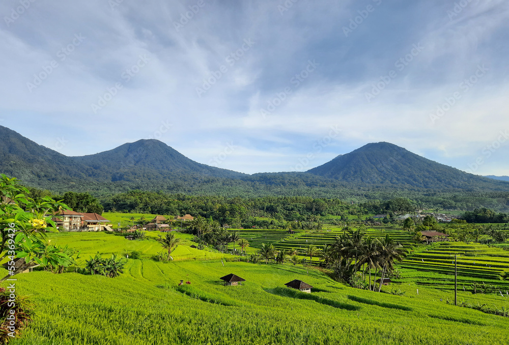 Beautiful rice field with mountains and dramatic sky at Tegalalang, Bali, Indonesia Beautiful rice field with mountains and dramatic sky at Tegalalang, Bali, Indonesia