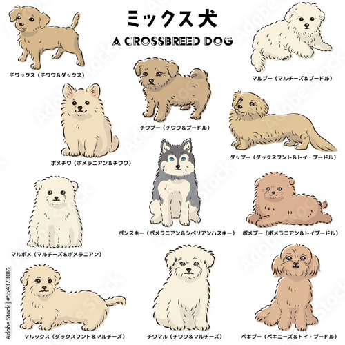 かわいい人気のミックス犬　手描き線画ベクターイラストセット