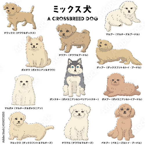 かわいい人気のミックス犬　手描き線画ベクターイラストセット