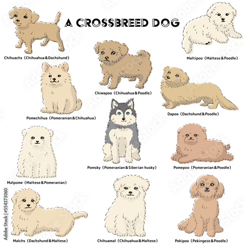 かわいい人気のミックス犬　手描き線画ベクターイラストセット