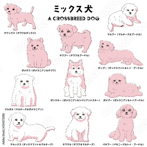 かわいい人気のミックス犬　手描き線画ベクターイラストセット