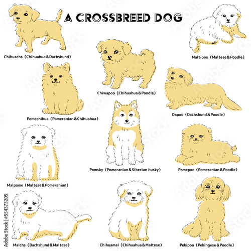 かわいい人気のミックス犬　手描き線画ベクターイラストセット