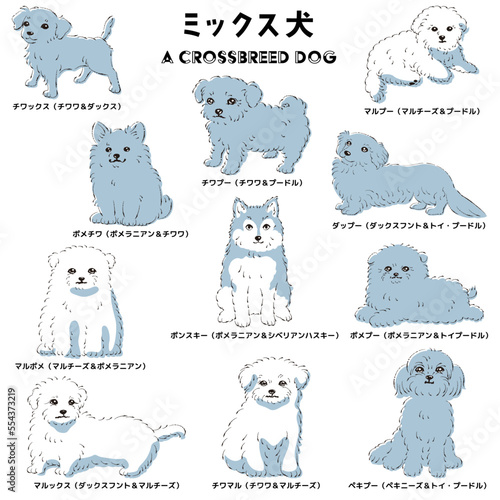 かわいい人気のミックス犬　手描き線画ベクターイラストセット