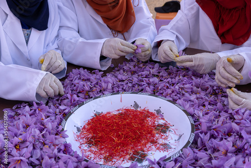 Moroccan saffron photo