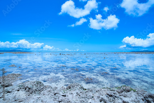 透き通った遠浅の海