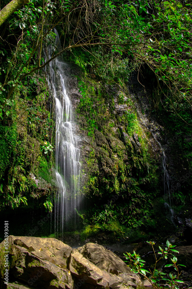 Fototapeta premium Newtons Waterfall, just outside Akaroa, Bank's Peninsula