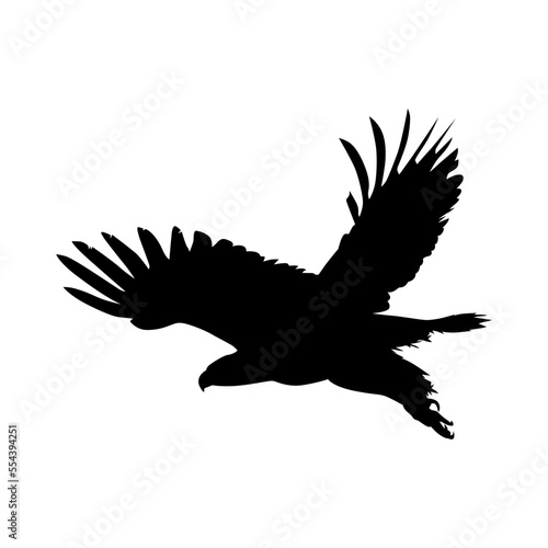 Silhouette of eagle