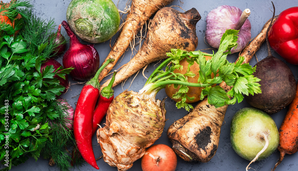 Food background with vegetables, root crops and herbs: celery, carrots ...
