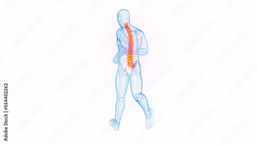 3D medical illustration of a man experiencing back pain while jogging