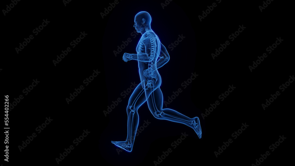 3D medical illustration of a man jogging