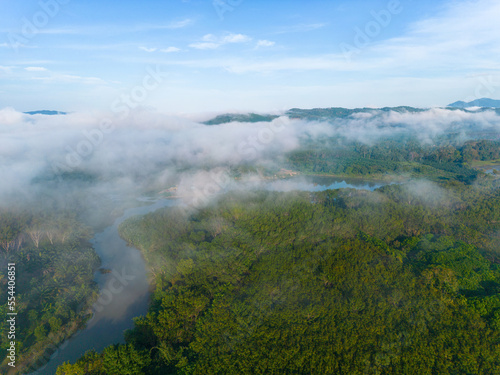 Aerial view morning tropical rainforest green tree river with fog