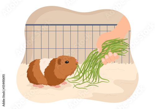 Guinea Pig Pets Hamsters Animals Breeds Suitable for Poster or Greeting Card in Flat Cute Cartoon Hand Drawn Templates Illustration